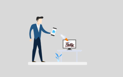 Biz Analyst / Tally on Mobile